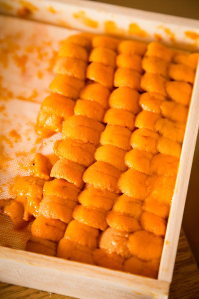 SJ圭贤入伍前举办粉丝见面会 与粉丝们度过最特别的时间-火狐电竞(图2) 火狐电竞官方网站