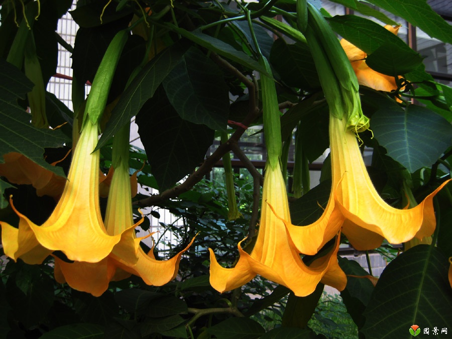 火狐电竞_迷奸60女星富少昨日受审 李宗瑞仍否认所有指控(图1) 火狐电竞