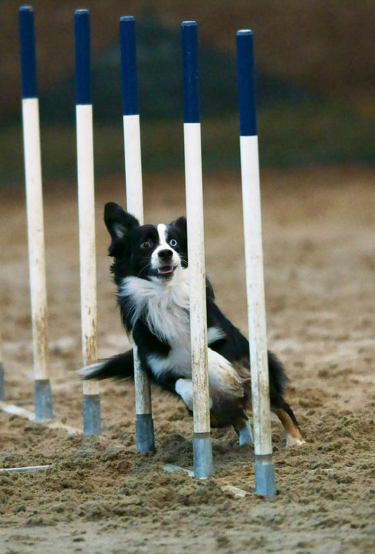 试析农产品区域性品牌的创建原则:火狐电竞(图1) 火狐电竞官网