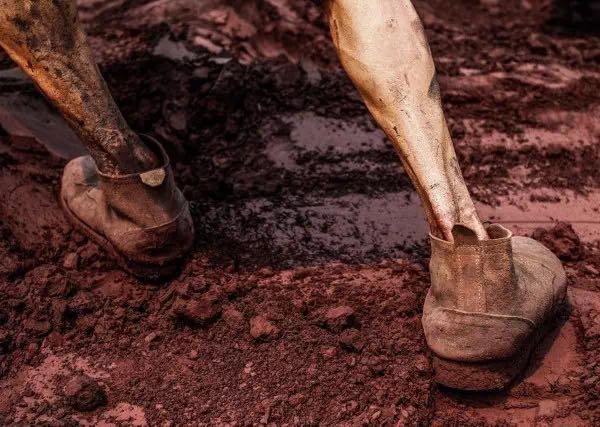 “火狐电竞”如何发挥企业计划管理职能的浅析(图2) 火狐电竞官网