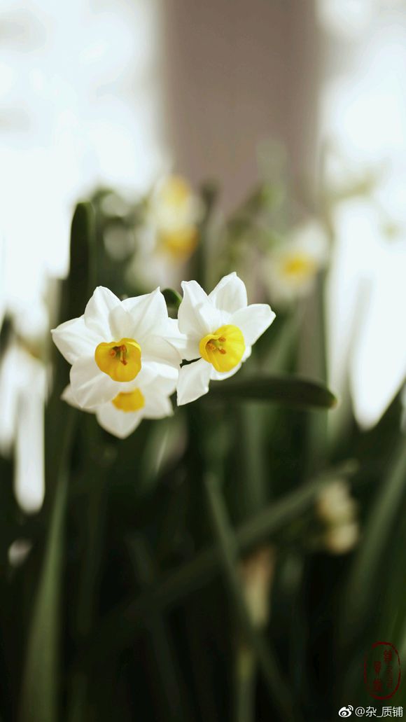 火狐电竞官方网站